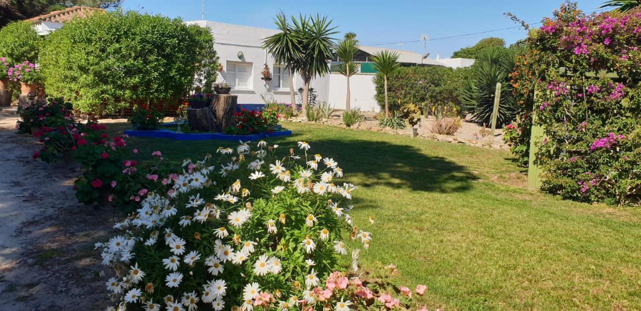 En Finca Las Dunas Dos Chalets Con Jacuzzis En Primera Linea De Playa , Uno De 4 Dormitorios Y Otro De 2 Dormitorios, Llama Al Seiscientos Veintisiete Cuatrocientos Diecisiete Trescientos Noventa Y Ocho Rota Exterior foto